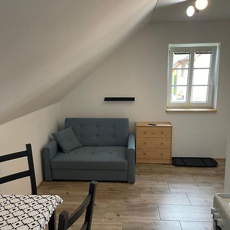 Ubytovani Spicacka Ap2 Železná Ruda Exterior foto